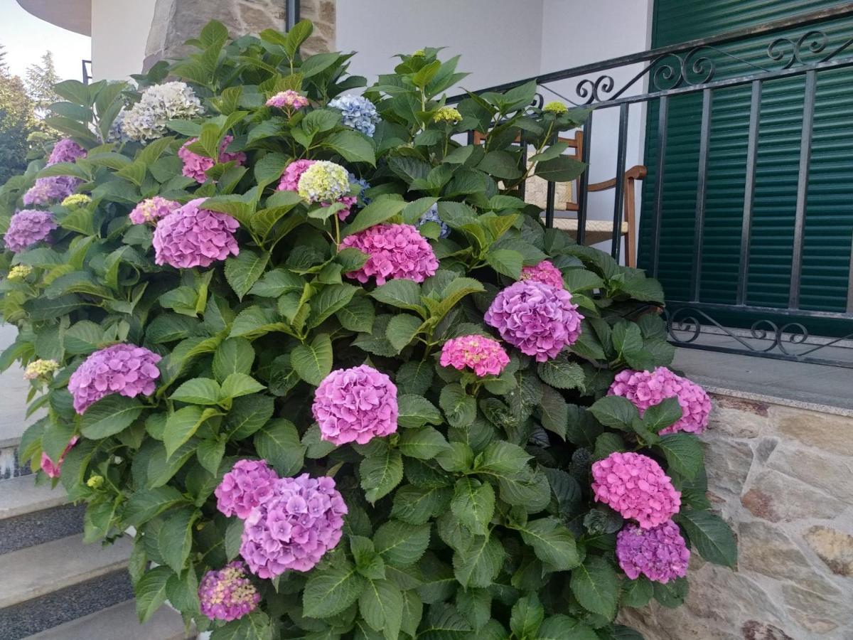 לינה וארוחת בוקר פסו דה רגואה Mito'S House & Douro View מראה חיצוני תמונה